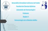 Presentación de PowerPoint - PBworkswikifisiologia.pbworks.com/f/DM TERMINADA.pdfTratamiento para la Diabetes tipo 2 Farmacológico Metformina Sulfonilureas como glipizida. Meglitinidas.