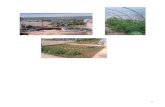 CUADERNO DE CAMPO - Mamaterra huerto... · cuaderno de campo . 35 observaciÓn y toma de datos: - superficie de cultivo: - superficie de invernadero: - superficie ajardinada: - orientaciÓn:
