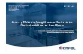 Ahorro y Eficiencia Energética en el Sector de los ... 07/13. Alberto Zapatero.pdf · • Los electrodomésticos representan el 52% del total del consumo eléctrico en los hogares,