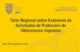 Presentación de PowerPoint...Ecuador: Examen de la Distinción, Homogeneidad y Estabilidad -DHE-Servicio Nacional de Derechos Intelectuales -SENADI-Condiciones para la concesión