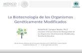 La Biotecnología de los Organismos Genéticamente Modificados · OGMs de 3era Generación Oleaginosas con contenidos grasos de mejor calidad (Omega-3) Vegetales (biofortificados)