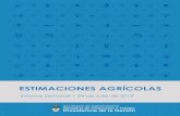 ESTIMACIONES AGRÍCOLAS - Argentina.gob.ar...6 ESTIMACIONES AGRÍCOLAS Informe Semanal 04 de Julio de 2019 EVOLUCIÓN DE LOS CULTIVOS AL 04/07/2019 COSECHA FINA – CAMPAÑA 2019/2020
