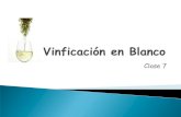 Vinficación en Blanco - Universidad Autónoma Metropolitanasgpwe.izt.uam.mx/files/users/uami/jrvc/enologia/clase_7... · 2014. 10. 12. · Los Reyes, blanco (French Colombard y Chenin
