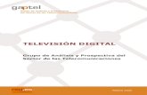 TELEVISIÓN DIGITAL - AUI · a la Televisión Digital Terrestre (TDT), la evolución del negocio de los operadores de televisión por cable y satélite en el nuevo escenario digital,