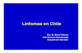 Linfomas en Chile · • Linfoma no Hodgkin de células grandes B, CD 20 (+): R-CHOP se aumenta la edad máxima de 60 a 80 años . • Linfoma de Burkitt