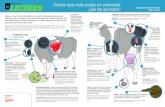 Detectar vacas recién paridas con enfermedad: ¿Qué hay que ... · Temperatura – La fiebre es uno de los primeros signos de metritis post-parto y una temperatura mayor de 39.4ºC