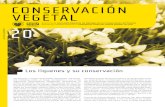 conservación vegetal...conservación vegetal Boletín de la Sociedad Española de Biología de la Conservación de PlantasÓrgano de comunicaciÓn de la ComiSión dE Flora dEl Comité