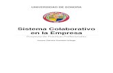 Sistema Colaborativo en la Empresa - Universidad de Sonoracp.isi.uson.mx/practicas_docs/209207982-reporte.pdf · Sistema Colaborativo en la Empresa Proyecto de Prácticas Profesionales