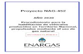 Proyecto NAG-452 · 2020. 1. 27. · Consulta Pública del proyecto NAG-452 Año 2020 3 PRÓLOGO La Ley N.° 24.076 establece el Marco Regulatorio de la actividad del Gas Natural