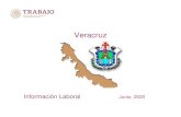 Veracruz - stps.gob.mx · Nacional Veracruz Periodo 19,583,170 721,600 Mayo 2020 Tasa de Desocupación (por ciento) 1/ 2.9 2.8 Marzo 2020 Conflictividad colectiva laboral en la Juridicción