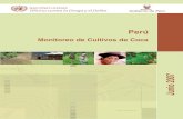 Monitoreo de Cultivos de Coca€¦ · General de las Naciones Unidas de 1998, desarrolló e implementó un Programa global de Monitoreo de Cultivos Ilícitos (ICMP). A través de