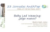 Baby Led Weaning: ¿algo nuevo?pediatrasandalucia.org/Pdfs/ali00.pdf · 2019. 4. 5. · Forma de introducir la alimentación complementaria • Se emplean alimentos habituales en