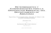 Determinantes & condicionantes Amazonas 2.0 · el fascículo 3 que trata sobre los conceptos de Plan, ... CONCEPTUALES ADICIONALES ..... 13 IV.‐ DETERMINANTES Y CONDICIONANTES DEL