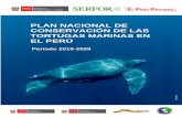 PLAN NACIONAL DE CONSERVACIÓN DE LAS TORTUGAS … · En el Perú podemos encontrar cinco de las siete especies de tortugas marinas que existen en el mundo: Chelonia mydas “tortuga