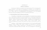CAPÍTULO II MARCO TEÓRICOvirtual.urbe.edu/tesispub/0094488/cap02.pdf · "democracia", "participación" y "consenso", las Bases Jurídicas que sustentan el Proyecto Democrático