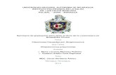 UNIVERSIDAD NACIONAL AUTÓNOMA DE NICARAGUA … · 2017. 1. 31. · UNIVERSIDAD NACIONAL AUTÓNOMA DE NICARAGUA INSTITUTO POLITÉCNICO DE LA SALUD DR. LUIS FELIPE MONCADA POLISAL