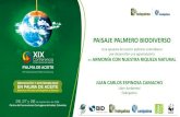 PAISAJE PALMERO BIODIVERSO - ANCUPA · PAISAJE PALMERO BIODIVERSO Una apuesta del sector palmero colombiano por desarrollar una agroindustria en ARMONÍA CON NUESTRA RIQUEZA NATURAL