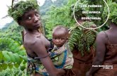 LOS PIGMEOS DEL ÁFRICA ECUATORIAL · forma de vida El desplazamiento y la discriminación destrozan a los habitantes de la selva Los pueblos de la selva del África central han vivido
