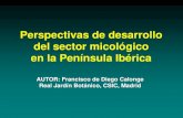 Perspectivas de desarrollo del sector micológico en …home.dbio.uevora.pt/~css/downloads/Desenvolvimento...Diapositiva 1 Author Informática Created Date 5/28/2012 10:46:36 PM ...
