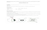 todalatribu.files.wordpress.com€¦  · Web viewIdentifica las estructuras externas del ojo: esclerótica, córnea, iris y pupila. 2. Divide el globo ocular en dos mitades, de forma