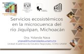 Servicios ecosistémicos en la microcuenca del Río …...Servicios ecosistémicos en la microcuenca del río Jiquilpan, Michoacán Dra. Yolanda Nava ynava@humanidades.unam.mx Unidad