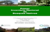 Primer Inventario Nacional de Bosques Nativos · Bosques Nativos y Áreas Protegidas Préstamo BIRF 4085 AR, operación acordada por el Gobierno Nacional con el Banco Internacional