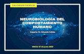 NEUROBIOLOGÍA DEL COMPORTAMIENTO HUMANO...cognitivo y un área específica del cerebro humano. 2. Comprender la organización neuronal y sus vías de interacción a través de procesos