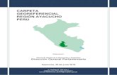 CARPETA GEOREFERENCIAL REGIÓN AYACUCHO PERÚ · 2016. 7. 13. · CARPETA GEOREFERENCIAL REGIÓN AYACUCHO PERÚ Elaboración: Oficina de Gestión de la Información y Estadística