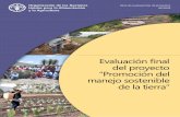Evaluación final del proyecto “Promoción del manejo sostenible … · 2020. 6. 29. · Cita requerida: FAO. 2020. Evaluación final del proyecto “Promoción del Manejo Sostenible