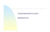 TRAQUEOBRONQUITIS AGUDA BRONQUIOLITIS...Bronquitis aguda pequeñas vías respiratorias: Bronquiolitis alvéolos e intersticios: Neumonías 3 Traqueobronquitis Traqueobronquitis aguda,