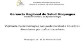 Gerencia Regional de Salud Moquegua · 2019. 2. 15. · GOBIERNO REGIONAL MOQUEGUA GERENCIA REGIONAL DE SALUD MOQUEGUA Vigilancia Epidemiológica con posterioridad a desastres Emergencia