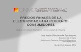PRECIOS FINALES DE LA ELECTRICIDAD PARA PEQUEÑOS …catedras-etsi.us.es/endesared/documentos/jor_tarifas... · 2014. 6. 17. · Precio de la electricidad para un consumidor doméstico