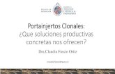 Portainjertos Clonales: ¿Que soluciones productivas ......¿Que soluciones productivas concretas nos ofrecen? Búsqueda de soluciones sustentables y aumento de eficiencia : foco en