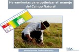 Herramientas para el Manejo del Campo Naturalinia.uy/Documentos/Públicos/INIA Salto Grande/2018/2018.09.25-Gir… · Herramientas de manejo del Campo Natural La altura y % verde