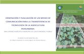 Presentación de PowerPoint - CEDAF · 2019. 7. 15. · generaciÓn y evaluaciÓn de un medio de comunicaciÓn para la transferencia de tecnologÍa en la agricultura periurbana: san