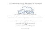 UNIVERSIDAD REGIONAL AUTONOMA DE LOS ANDES ...dspace.uniandes.edu.ec/bitstream/123456789/1933/1/TUBADM...salud de las personas usuarias, a quienes -dentro del establecimiento de salud-
