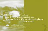 Informe Programas Empleo Provinciales - Dipòsit Digital de Documents de … · 2013. 12. 5. · Informe sobre los Programas de Empleo Provinciales 2004 11 Los programas de empleo