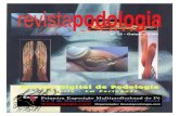 Revista Digital de Podologiarevistapodologia.com/jdownloads/Revista Digital Gratuita... · 2019. 12. 12. · Revista Digital de Podologia Gratuita - Em Português N° 22 - Outubro