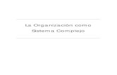La Organización como Sistema Complejo · 2017. 9. 20. · La Organización como Sistema Dinámico Complejo 118 cognitivos, comportamiento organizativo, planificación y predicción