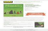 PRIMATES pdf(1).pdf · herramientas como nosotros. DIAN FOSSEY avanzó el conocimiento de las relaciones sociales de los gorilas y dio a conocer su situación precaria a todo el mundo.