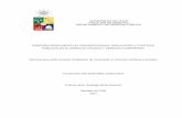 UNIVERSIDAD DE CHILE FACULTAD DE DERECHO DEPARTAMENTO DE DERECHO …biblioteca.esucomex.cl/RCA/Energías renovables no... · 2018. 4. 23. · FACULTAD DE DERECHO DEPARTAMENTO DE DERECHO