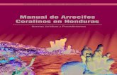 Manual de Arrecifes Coralinos en Honduras · 2018. 3. 28. · Ediciones AGM Todos los derechos ... en Honduras, C.A. El Instuto de Derecho Ambiental de Honduras se complace en presentarles