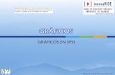 Universitat de València - Introducción al SPSS: GráficosDiagramas de dispersión y gráficos de puntos Hay varias categorías amplias de gráficos que se crean con el elemento gráfico