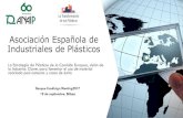 Asociación Española de Industriales de Plásticos€¦ · Encuesta europea sobre el uso de materiales plásticos –Presentación del informe en Octubre VnylPlus Waste Free Oceans.