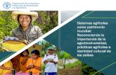 Sistemas agrícolas como patrimonio mundial: Reconociendo la - INSTITUTO PERUANO DE ... · 2018. 12. 20. · Planes de manejo de cuencas. Desarrollo del Sector Algodonero. Programa