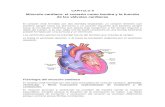 avivillalobos.files.wordpress.com€¦  · Web viewCAPITULO 9. Músculo cardíaco: el corazón como bomba y la función de las válvulas cardíacas. El corazón está formado por