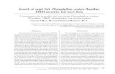 AVANCES EN INVESTIGACIÓN GROPECUARIA Growth of angel fish Pterophyllum scalare …ww.ucol.mx/revaia/anteriores/PDF DE REVISTA/2005... · 2009. 5. 11. · Pez ornamental, Pterophyllum