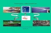 Energías Alternativas - ingenieroambiental.comingenieroambiental.com/apunte-biodiesel.pdf · Una de las posibles soluciones, dentro del conjunto de las llamadas Energías Alternativas,