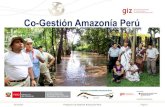Co-Gestión Amazonía Perú · 2018. 3. 5. · 02/10/2015 Proyecto Co-Gestión Amazonía Perú Página 10 Paquete de Servicio 1 Problemática de implementación del Régimen Especial