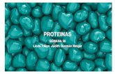 PROTEINAS · 2020. 9. 6. · ESCLERO- PROTEINAS Tienen funciones estructurales y de protección. La queratina (pelo, piel y uñas), el colágeno (huesos, tendones, y cartílagos)